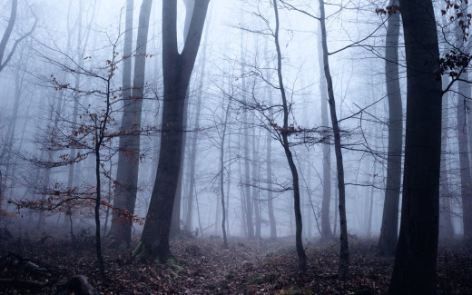 1753630 (a): :1920x1200